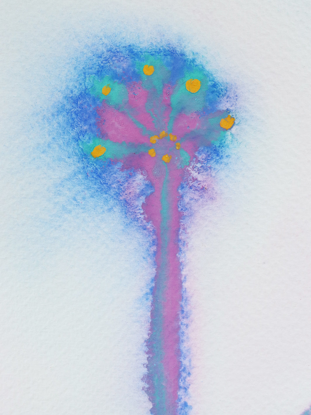 Flower Portrait Number 4